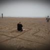 Ontdek de Kracht van de Natuur - workshop voor teams - Afbeelding 3